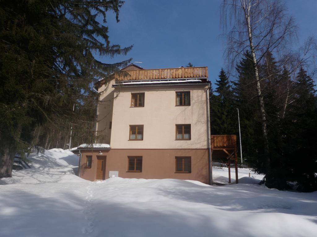 Apartmany Domino Zelezna Ruda Exterior photo