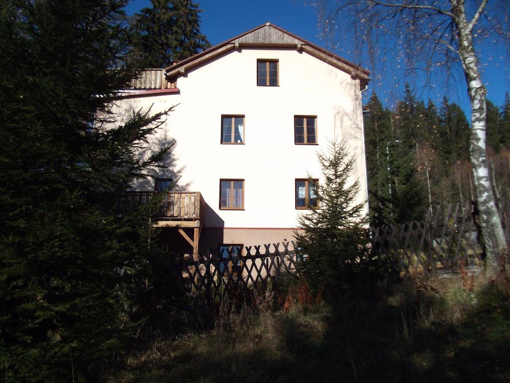 Apartmany Domino Zelezna Ruda Exterior photo
